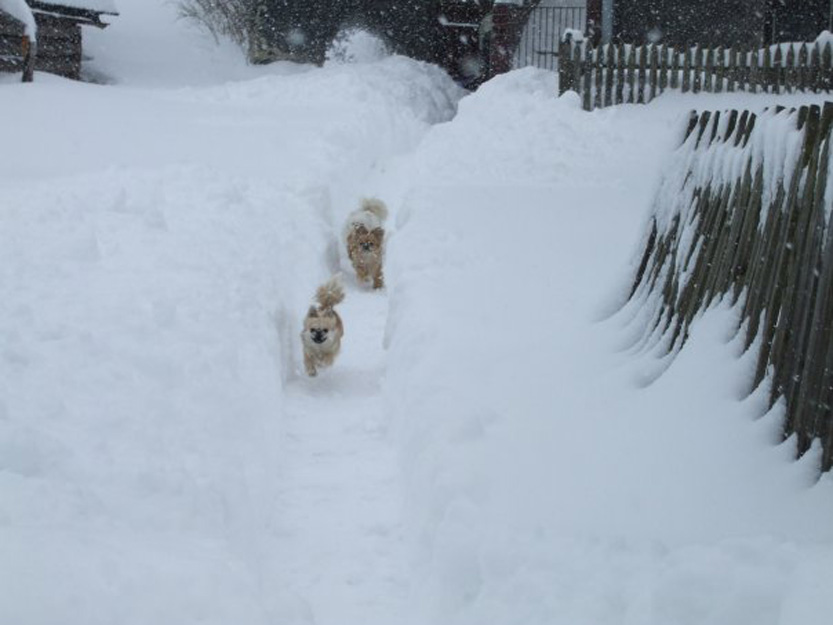 Winter in Matysova 2012